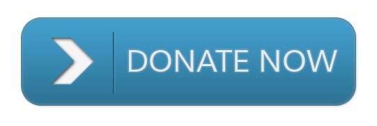 donate now button
